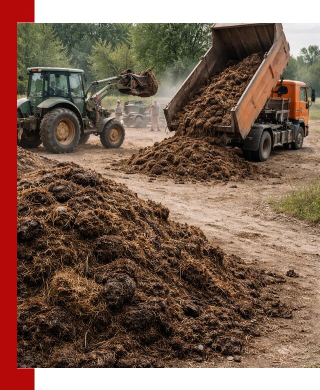 Доставка навоза самосвалами в Кохме для сельхозпотребностей
